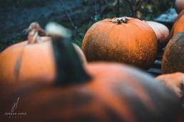 Jordan-Lewis-Media-Floral-Photographer-Autumn-Orange-Pumpkins