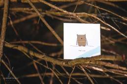 Jordan-Lewis-Media-Pembrokeshire-Photographer-Cardiau-Cymrage-Product-11
