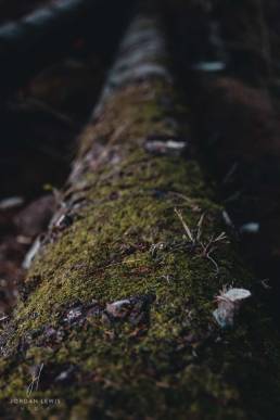 Jordan-Lewis-Media-Pembrokeshire-Photographer-Landscape-4