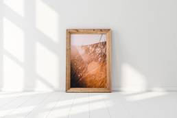 Jordan-Lewis-Media-Photography-Print-Grassy-Sunlight-Print-1
