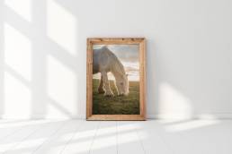 Jordan-Lewis-Media-Photography-Print-Horse-Print-1