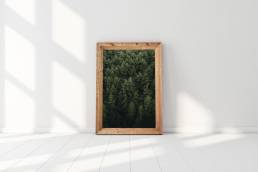 Jordan-Lewis-Media-Photography-Print-Trees-2