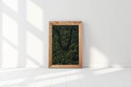 Jordan-Lewis-Media-Photography-Print-Trees